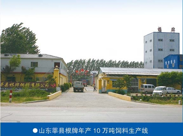 山东莘县根牌年产10万吨饲料生产线